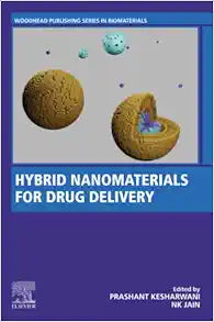 Hybrid Nanomaterials for Drug Delivery (Woodhead Publishing Series in Biomaterials)